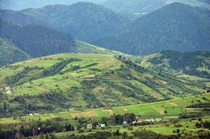 Fragment of the mountainous terrain in the Carpathians, Ukraine. The forest is forgiven by the reliefs of the Carpathian Mountains photo