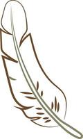 Feather drawing, illustration, vector on white background.