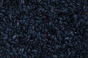 A pattern of many unprocessed fried sunflower seeds in a black shell. photo