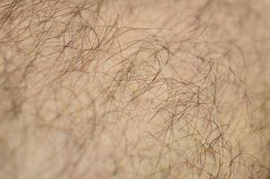 Close up detail of human skin with hair. Mans hairy leg photo