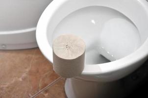 A roll of gray toilet paper lies on a white ceramic toilet in the bathroom photo