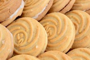 Close-up of a large number of round cookies with coconut filling photo