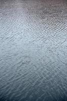 The texture of the water in the river under the influence of wind. A lot of shallow waves on the water surface photo