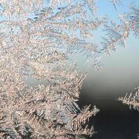 Snowflakes frost rime macro on window glass pane photo