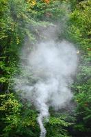 White smoke spreads over the background of forest trees photo