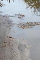 Photo of a fragment of a destroyed road with large puddles in rainy weather