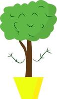 Tree in a pot, vector or color illustration.