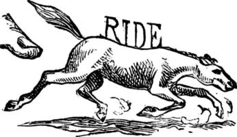 Running Horse, vintage illustration. vector