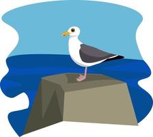 Seagull, illustration, vector on white background.