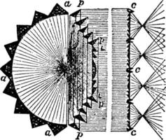 Condensing Light or Fixed Conensing Light for a Single Sector, vintage illustration. vector