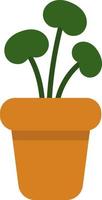 Plant with round leaves in a pot, icon illustration, vector on white background