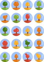 Tree in seasons, illustration, vector on a white background.