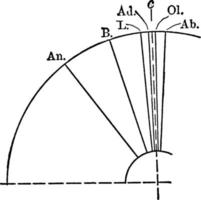 Extinction Angles, vintage illustration. vector