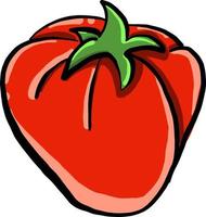 Red tomato, illustration, vector on white background.