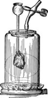 Respiration Diagram vintage illustration. vector