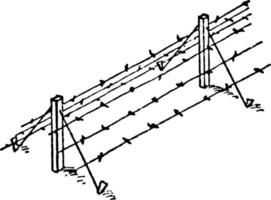 Wire fence, vintage illustration vector