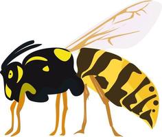 Scary bee, illustration, vector on white background