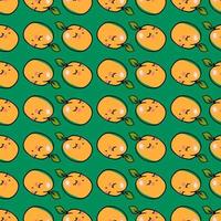 Apricots pattern, illustration, vector on white background