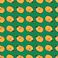 Apricots pattern, illustration, vector on white background