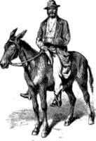 hombre a caballo ilustración vintage vector