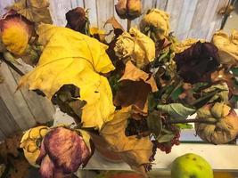 Large autumn yellow dry bouquet of leaves, herbarium. The background. Texture photo