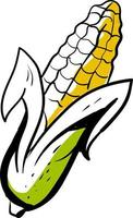 Corn sketch, illustration, vector on white background.