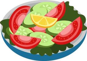 Summer salad, illustration, vector on white background.