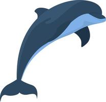 Dolphin jumping, illustration, vector on white background