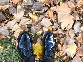 pies en hermosos zapatos de cuero negro liso y brillante sobre hojas de otoño naturales de color amarillo y rojo, marrón foto