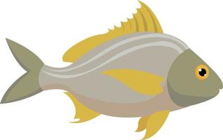 pescado, ilustración, vector sobre fondo blanco.