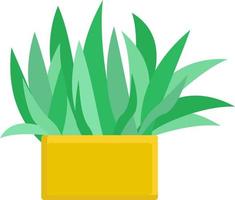 Herb in pot, illustration, vector on white background.