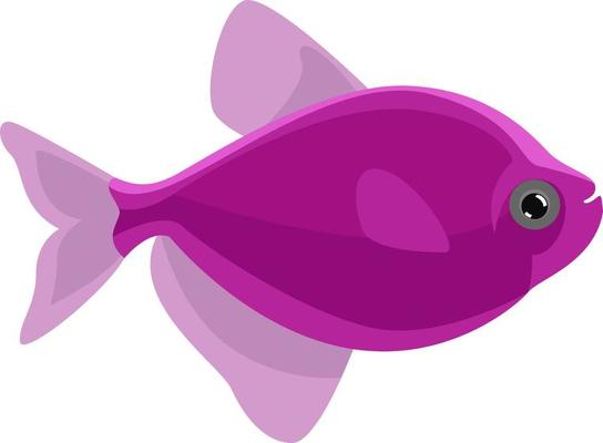 Purple fish, illustration, vector on white background