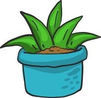 Aloe in blue pot , illustration, vector on white background