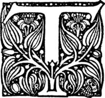 T, Floral , vintage illustration. vector