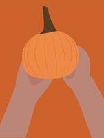 Pumpkin in hands, illustration, vector on white background.