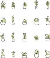 House plants, illustration, vector on a white background.