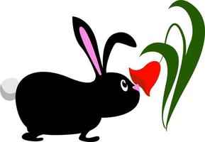 Black bunny, illustration, vector on white background.