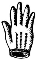 Glove a cover for the hand, vintage engraving. vector