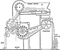 Cotton Gin, vintage illustration. vector