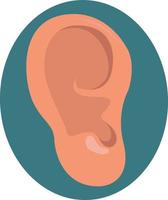 Human ear drawing, illustration, vector on white background.
