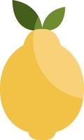 Yellow lemon, illustration, vector on a white background.