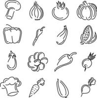 Organic vegetables, illustration, vector on a white background