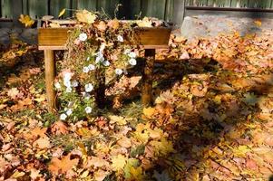 Beautiful bright wooden flower bed for white flowers covered with a layer of autumn yellow fallen leaves photo