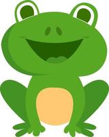 Green frog, illustration, vector on white background.