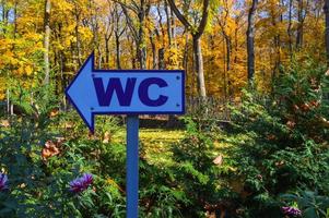 Beautiful white arrow pointer direction to the toilet, water closet against the background of natural plants, flowers, trees with autumn yellow leaves in the park. The background photo