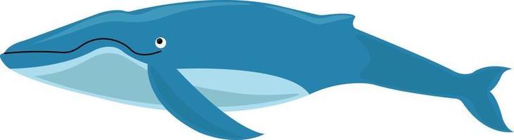 Blue whale, illustration, vector on white background.
