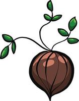 Onion, illustration, vector on a white background.
