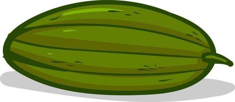 Fresh cucumber, illustration, vector on white background