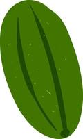 Cucumber flat, illustration, vector on white background.