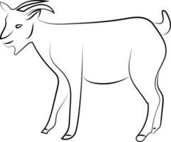 Goat sketch, illustration, vector on white background.